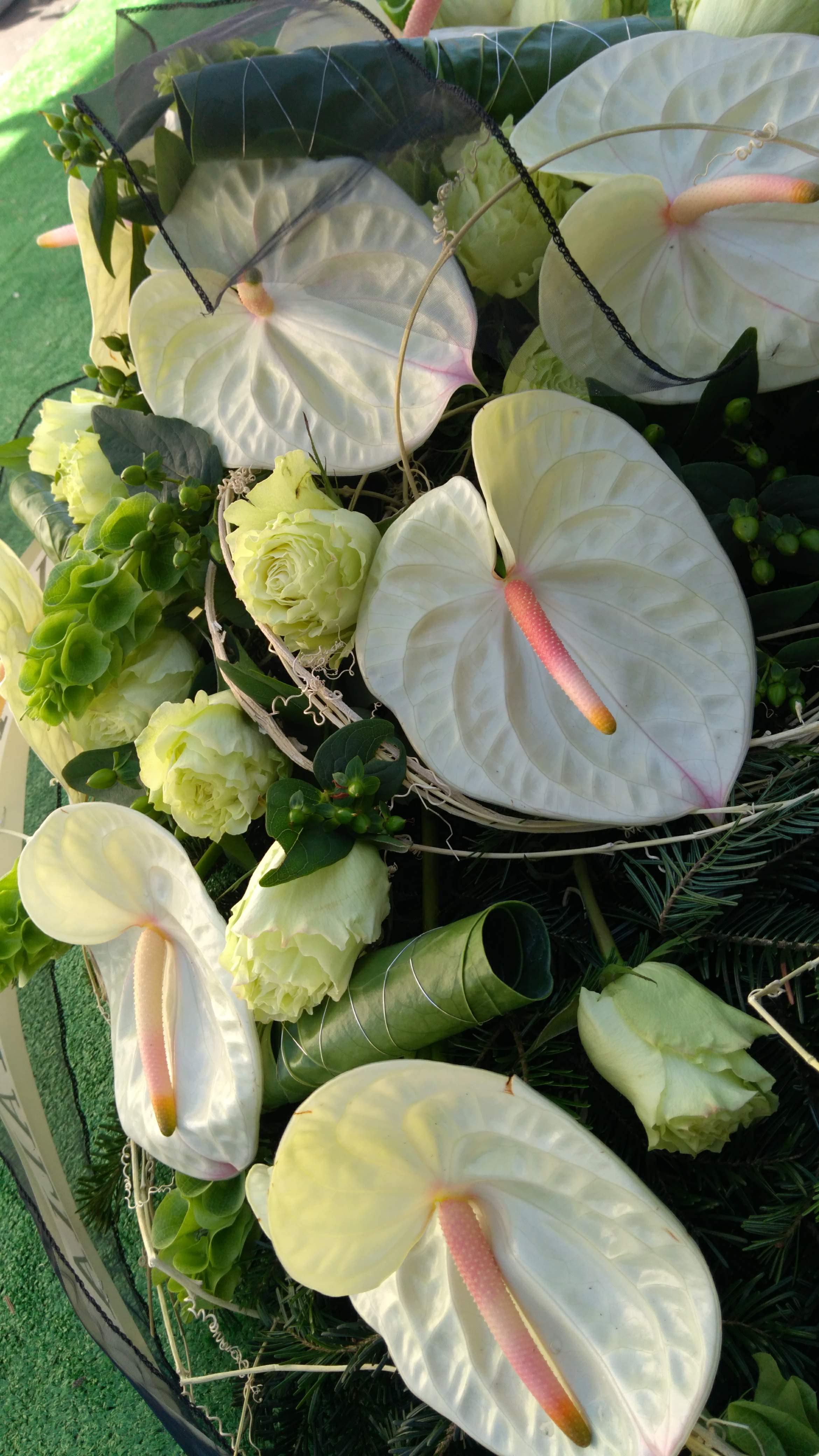 Wieniec rzymski kremowy - Wieniec pogrzebowy - Kwiaciarnia Pogrzebowa dostawa Jastrzębie-Zdrój, Rybnik, Żory