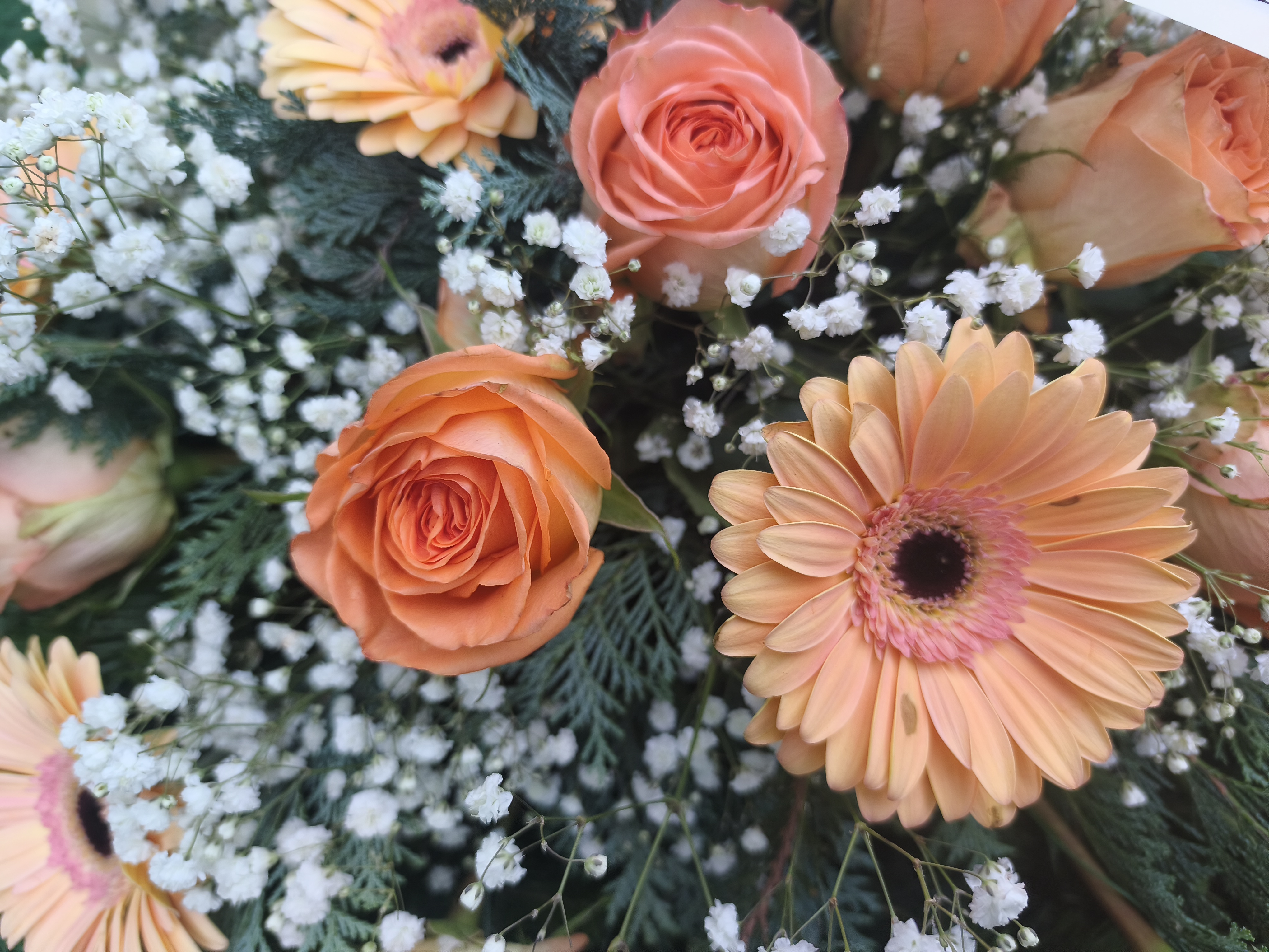 Wieniec pastelowy łosoś - Wieniec pogrzebowy - Kwiaciarnia Pogrzebowa dostawa Jastrzębie-Zdrój, Rybnik, Żory