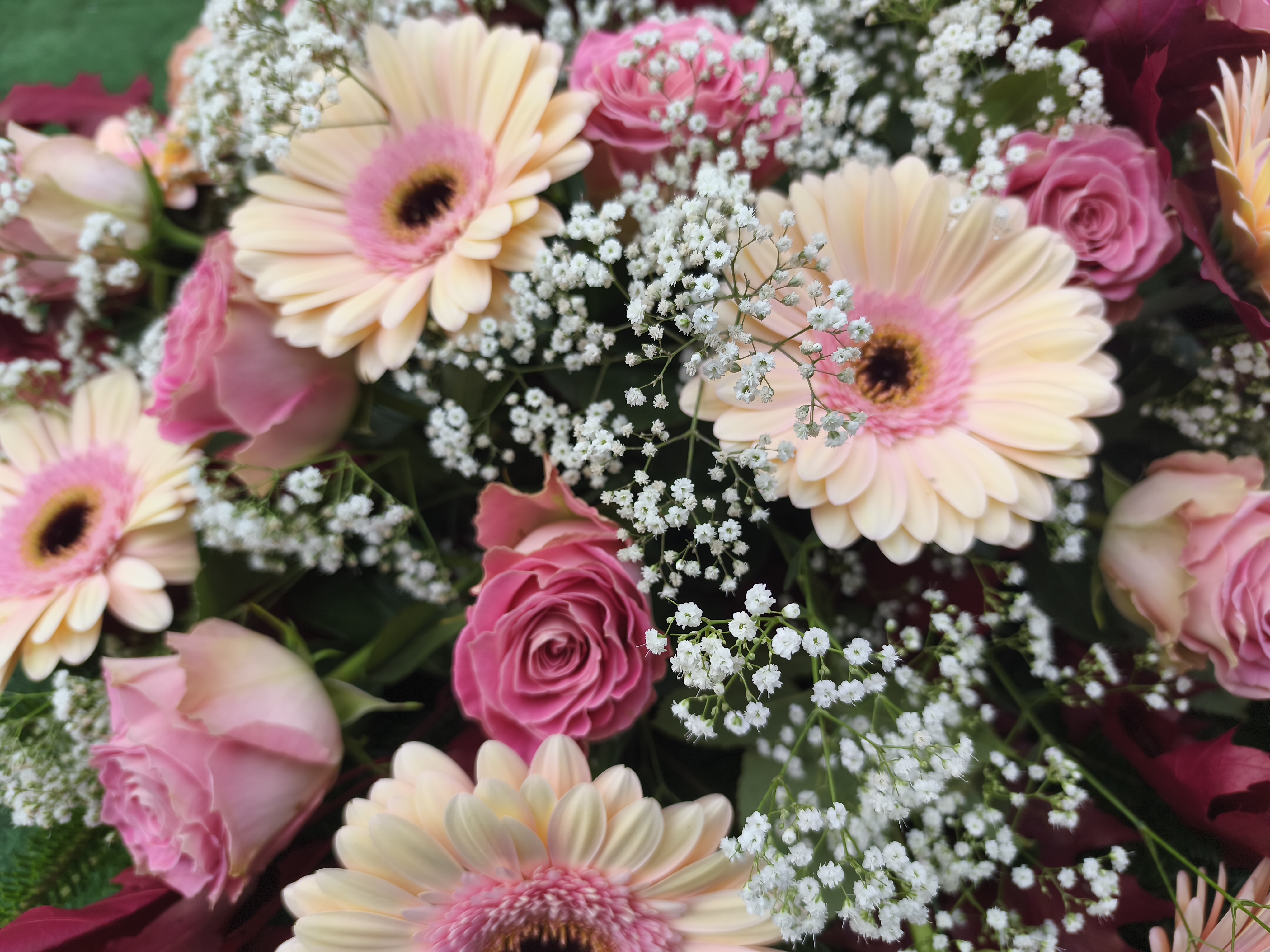 Wieniec Pastelowa opowieść - Wieniec pogrzebowy - Kwiaciarnia Pogrzebowa dostawa Jastrzębie-Zdrój, Rybnik, Żory