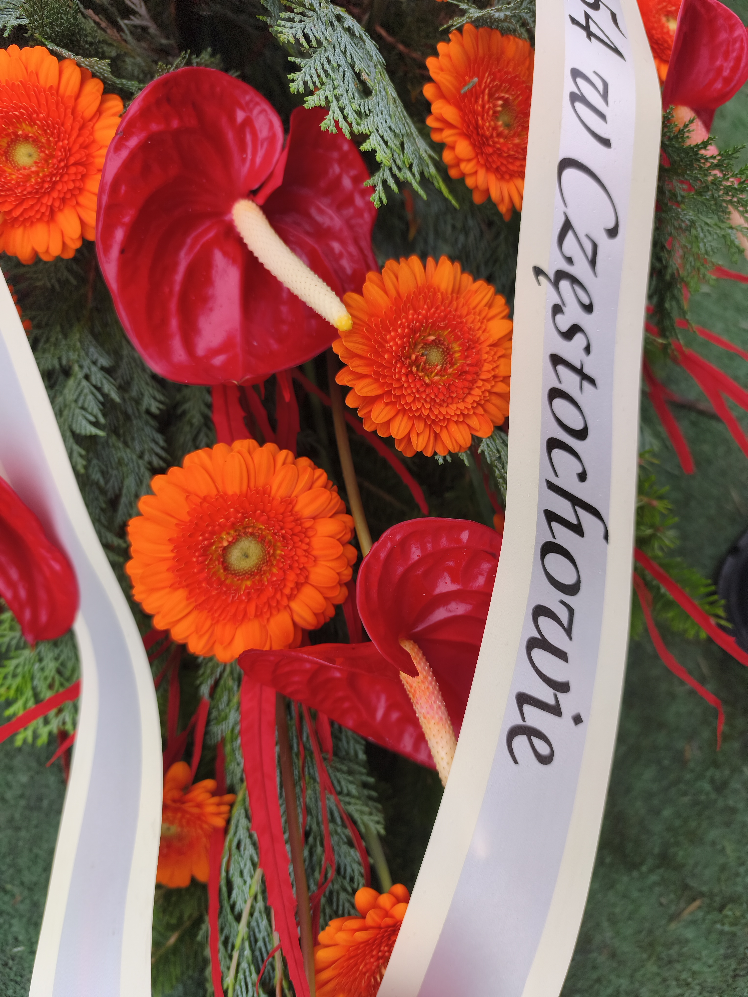 Palma Anturium i Gerber mini  - Palmy do reki - Kwiaciarnia Pogrzebowa dostawa Jastrzębie-Zdrój, Rybnik, Żory