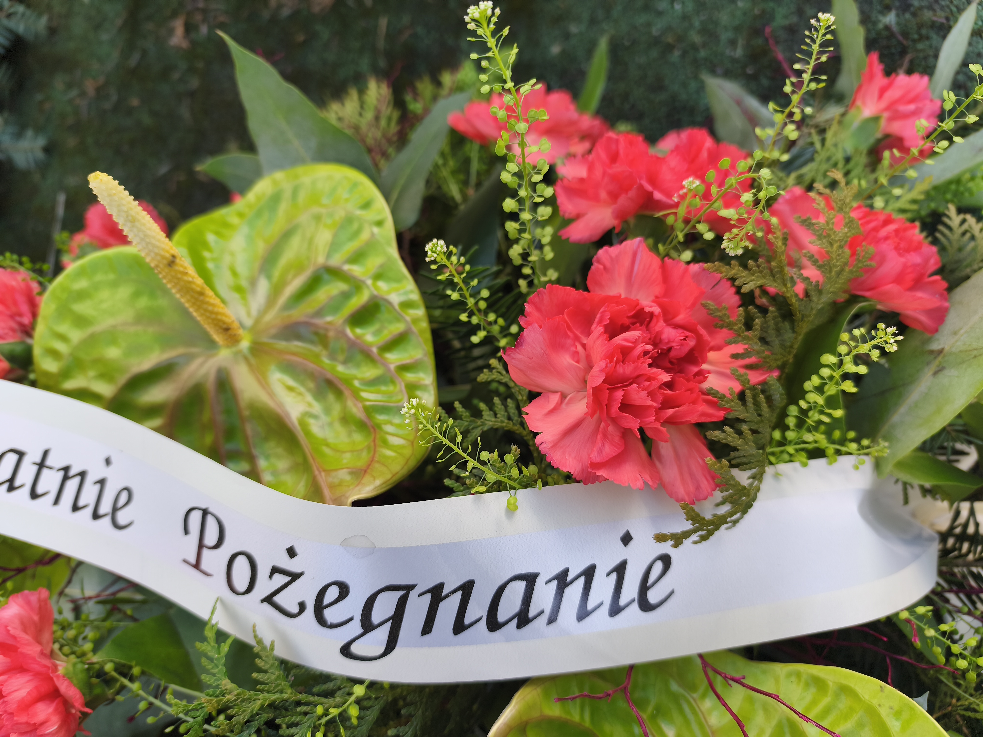 Palma do ręki - Wiazanka pogrzebowa - Kwiaciarnia Pogrzebowa dostawa Jastrzębie-Zdrój, Rybnik, Żory