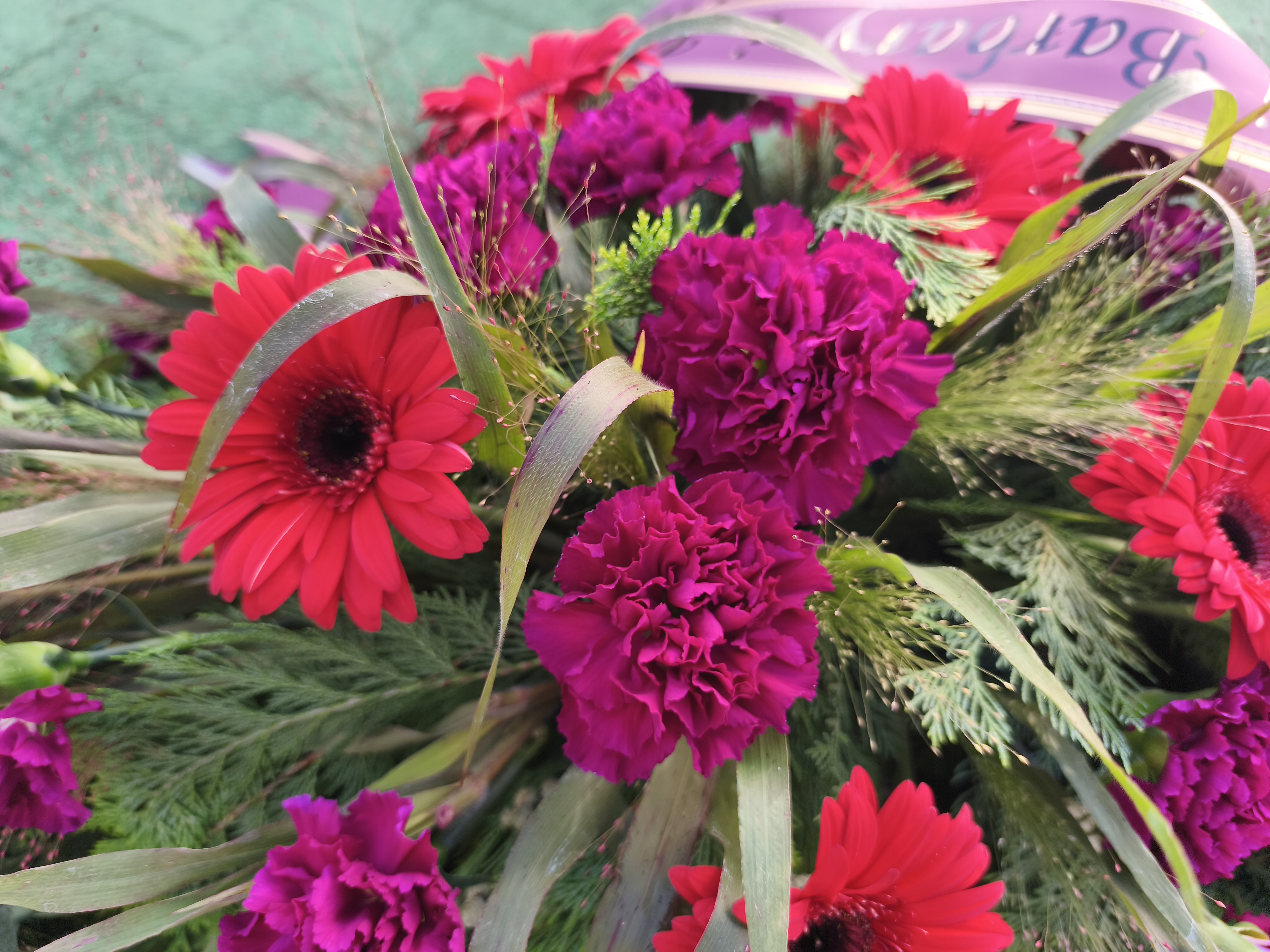 Palma Gerber i Goździk  - Palmy do reki - Kwiaciarnia Pogrzebowa dostawa Jastrzębie-Zdrój, Rybnik, Żory