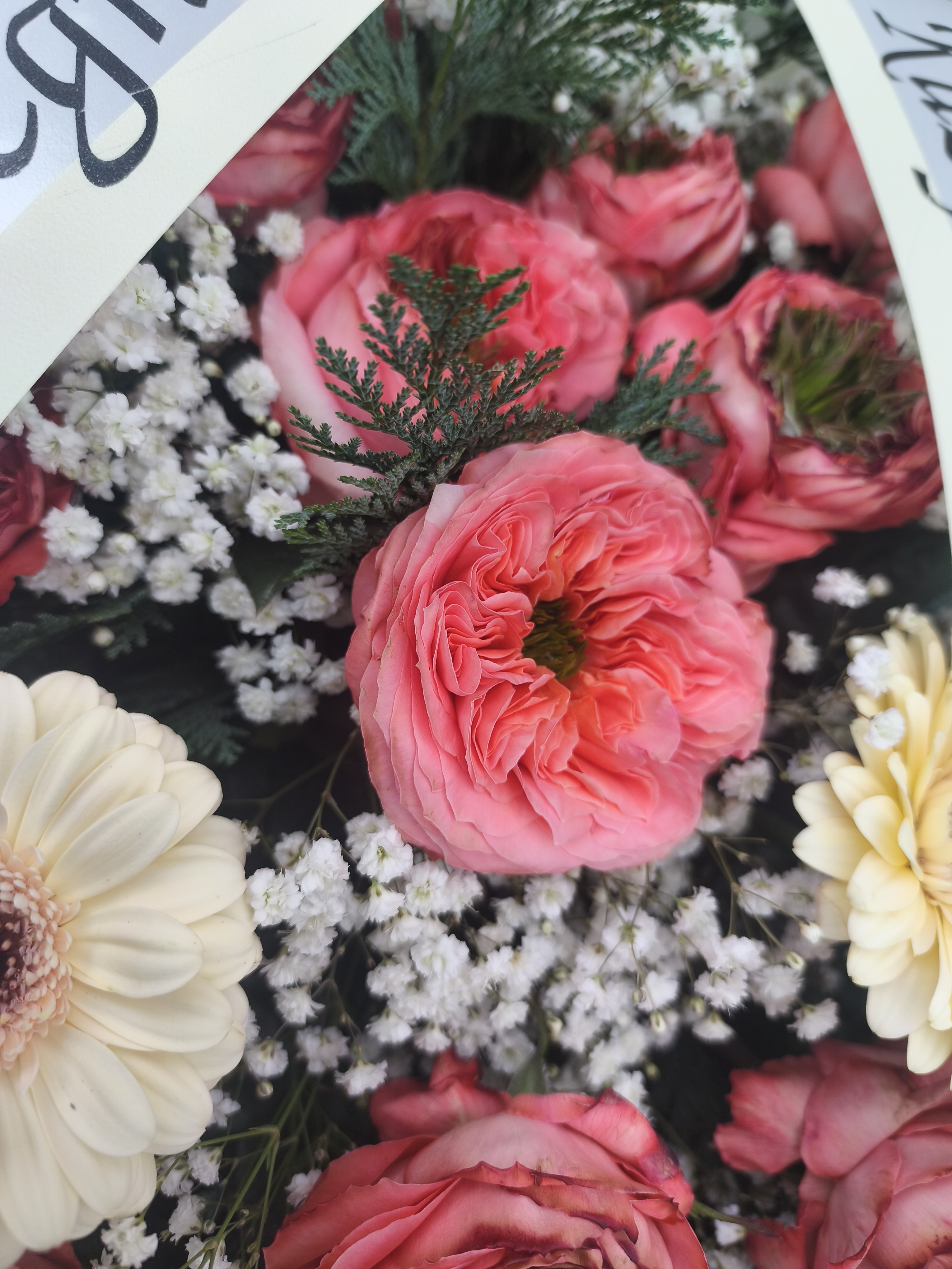 Wieniec koralowo kremowy - Wieniec pogrzebowy - Kwiaciarnia Pogrzebowa dostawa Jastrzębie-Zdrój, Rybnik, Żory