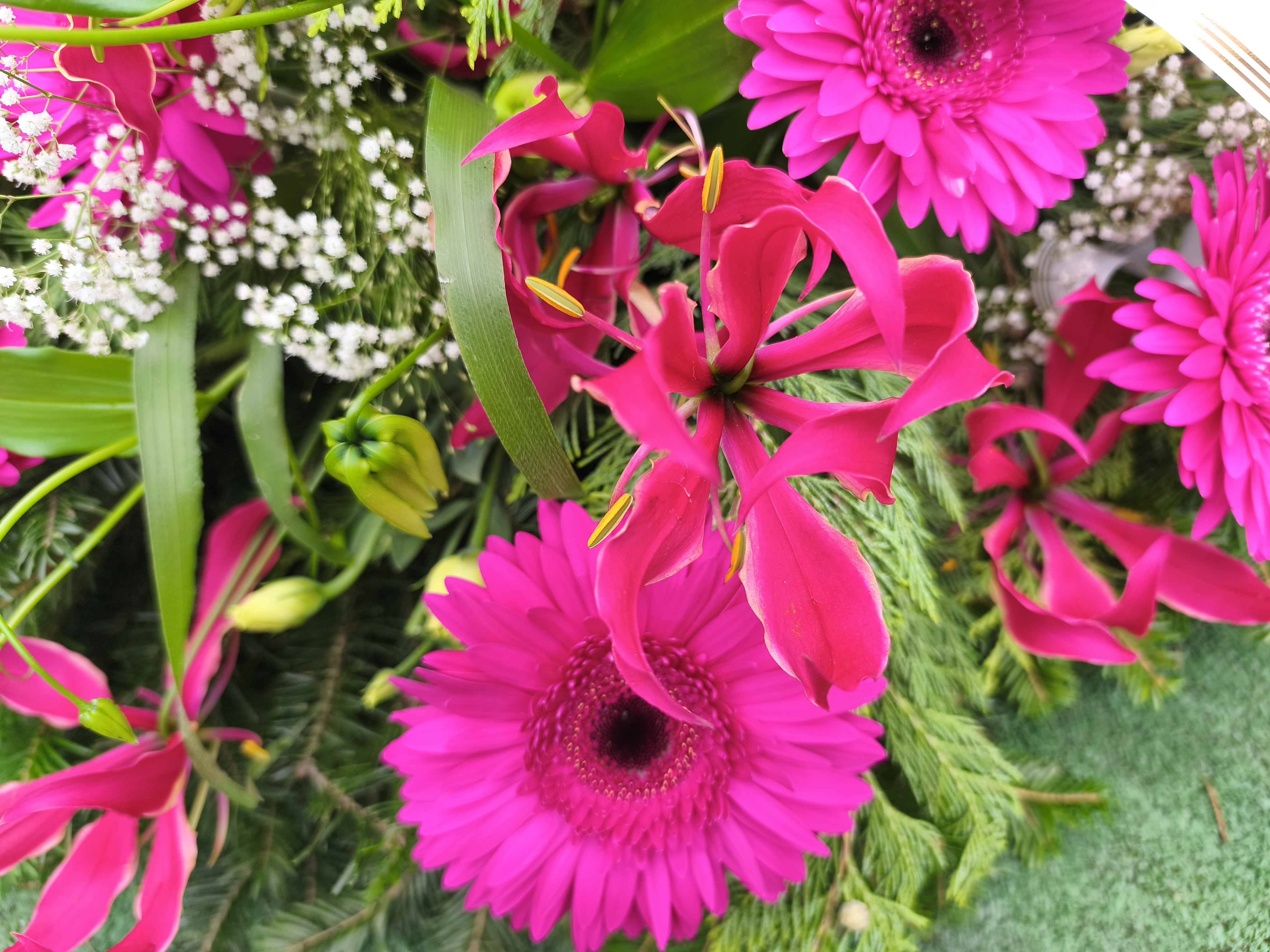 Wieniec z Gloriozą - Wieniec pogrzebowy - Kwiaciarnia Pogrzebowa dostawa Jastrzębie-Zdrój, Rybnik, Żory