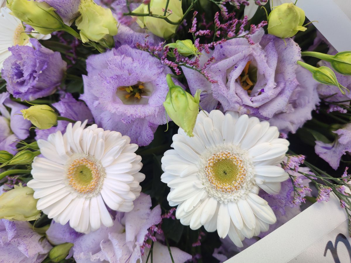 Eustoma i Gerber mini - widok 3 - Wieniec pogrzebowy