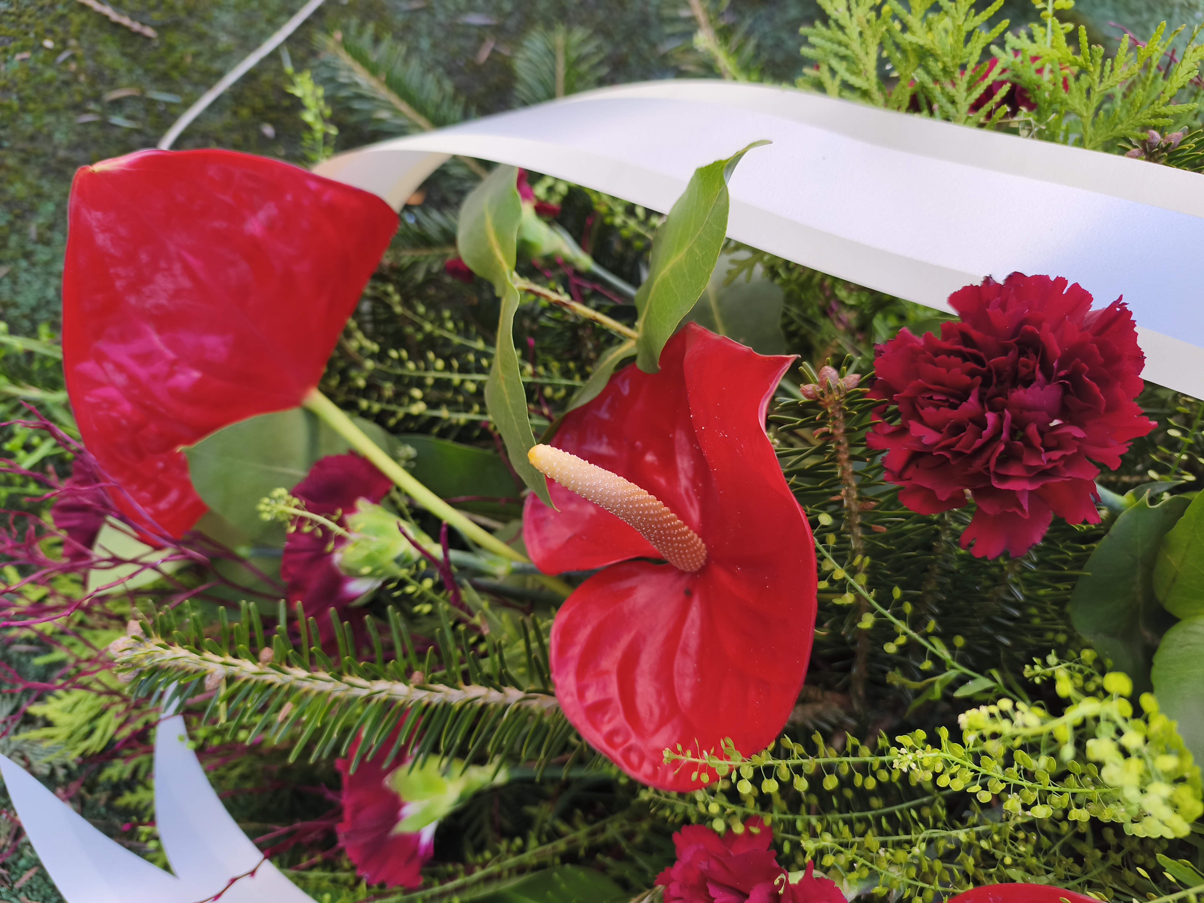 Palma z Anturium i Goździka - Palmy do reki - Kwiaciarnia Pogrzebowa dostawa Jastrzębie-Zdrój, Rybnik, Żory