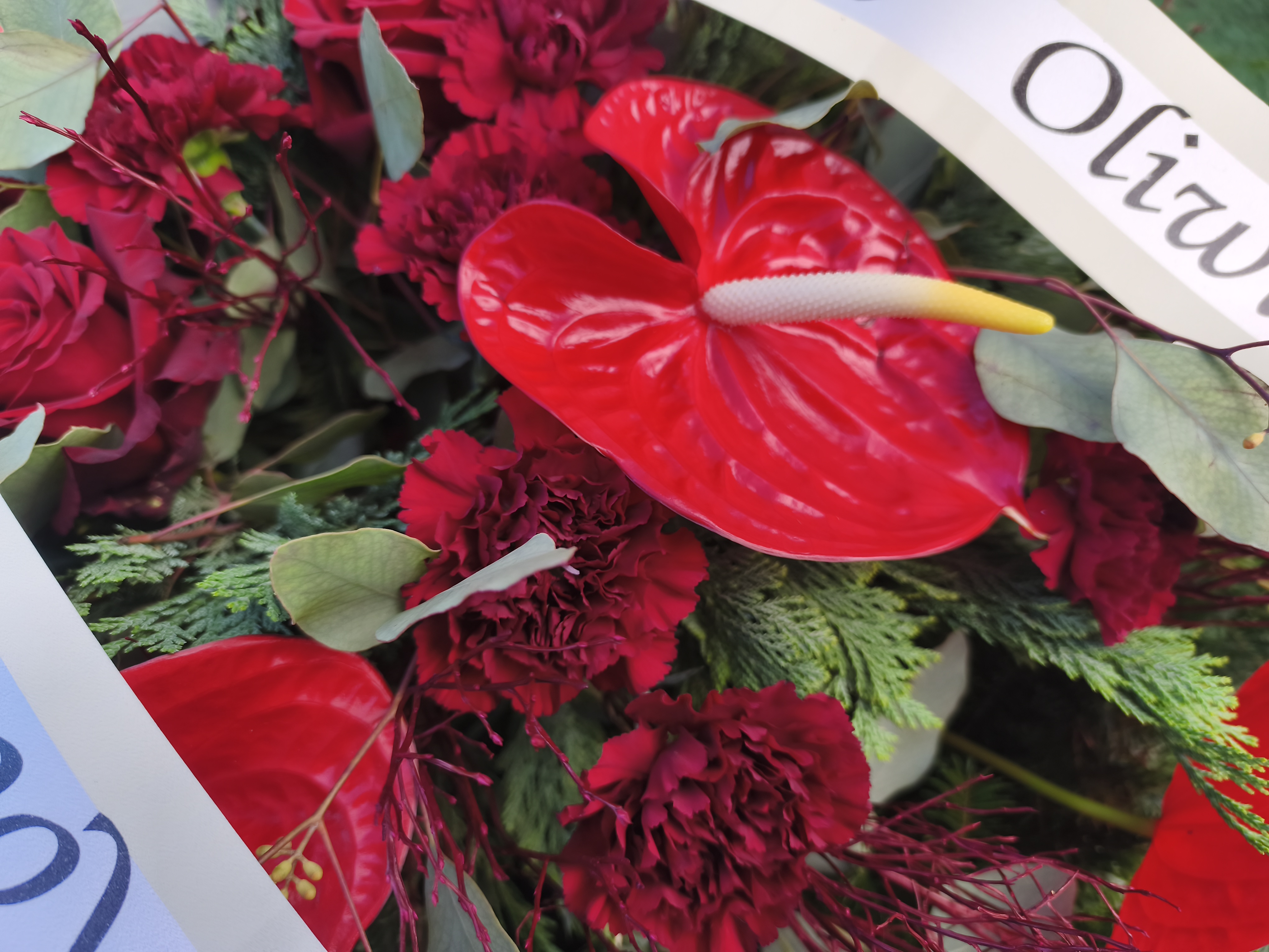 Wieniec czerwono bordowy - Wieniec pogrzebowy - Kwiaciarnia Pogrzebowa dostawa Jastrzębie-Zdrój, Rybnik, Żory