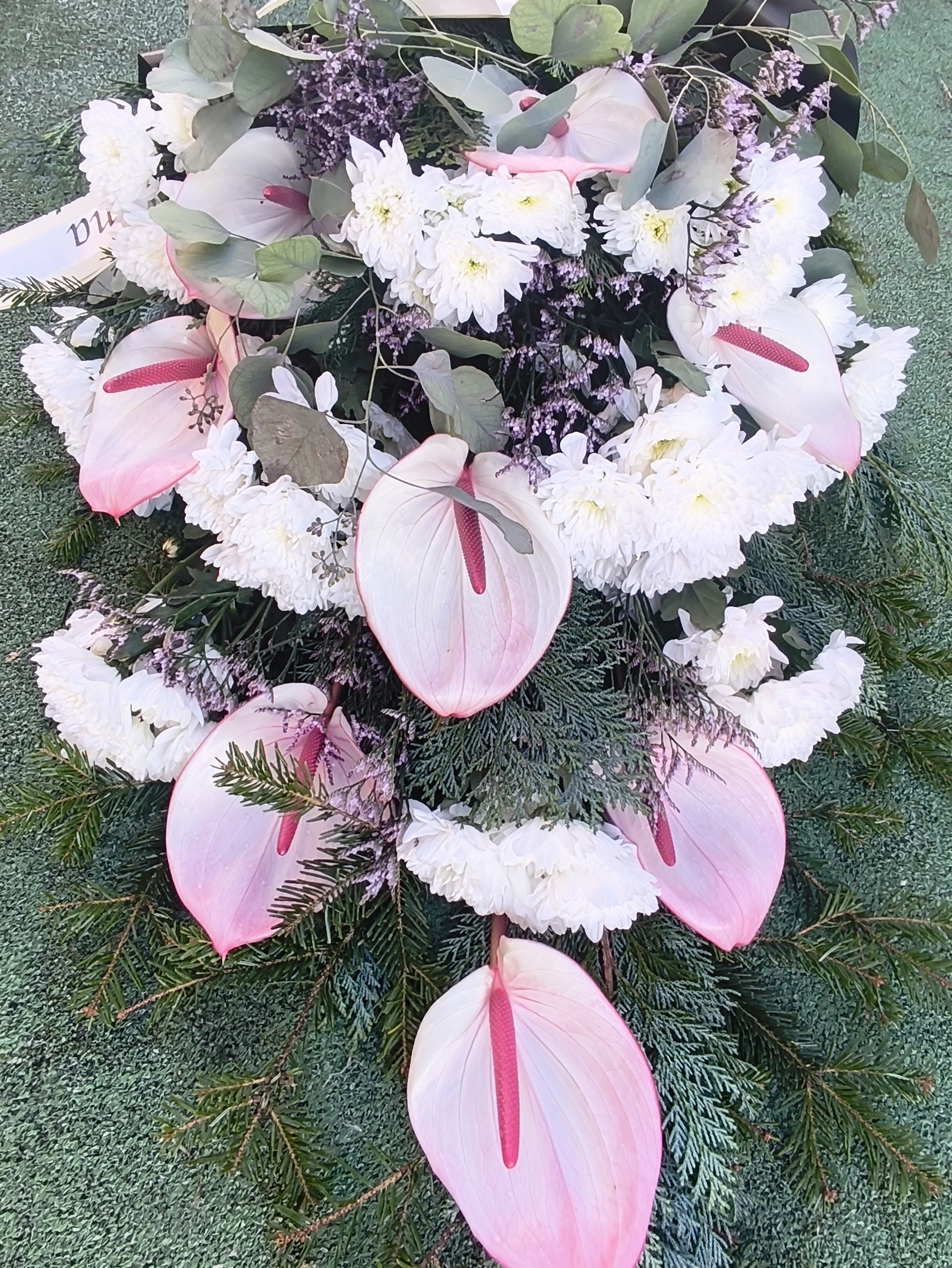 Palma Anturium i chryzantema gałązkowa  - Palmy do reki - Kwiaciarnia Pogrzebowa dostawa Jastrzębie-Zdrój, Rybnik, Żory