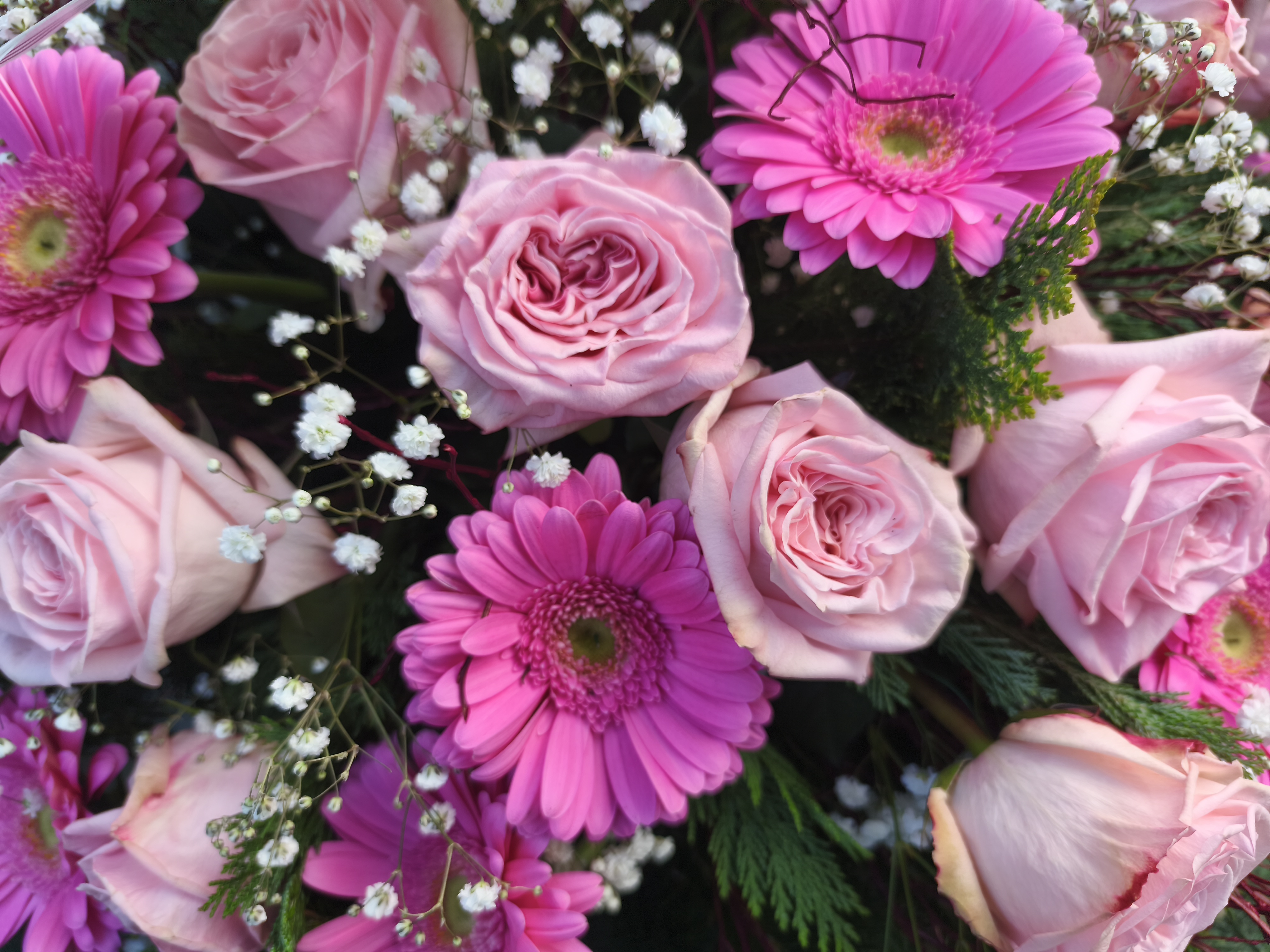 Wieniec odcienie różu  - Wieniec pogrzebowy - Kwiaciarnia Pogrzebowa dostawa Jastrzębie-Zdrój, Rybnik, Żory